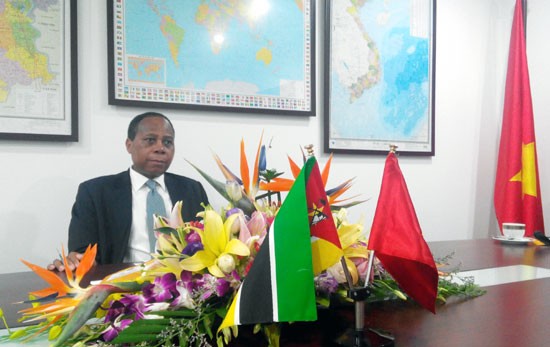 Vietnam, Mozambique mark diplomatic ties - ảnh 1